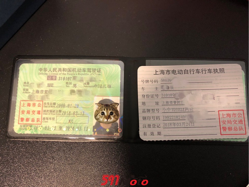 拿到e照的第二周,我却提了台小牛m1电瓶车