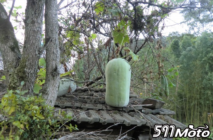 CIMG0075_.jpg