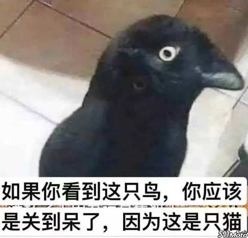 1588981629639974_317.jpg