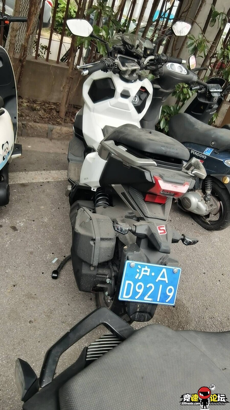 174049504113742_331.jpg