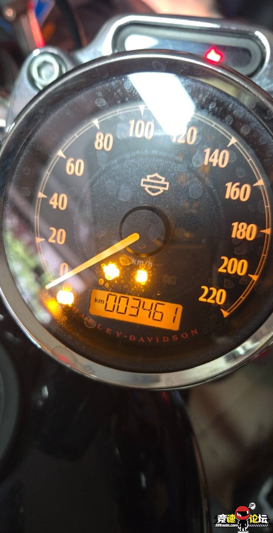 1745213952413626_199.jpg