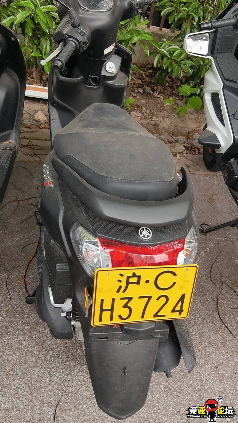 1746114913971205_561.jpg