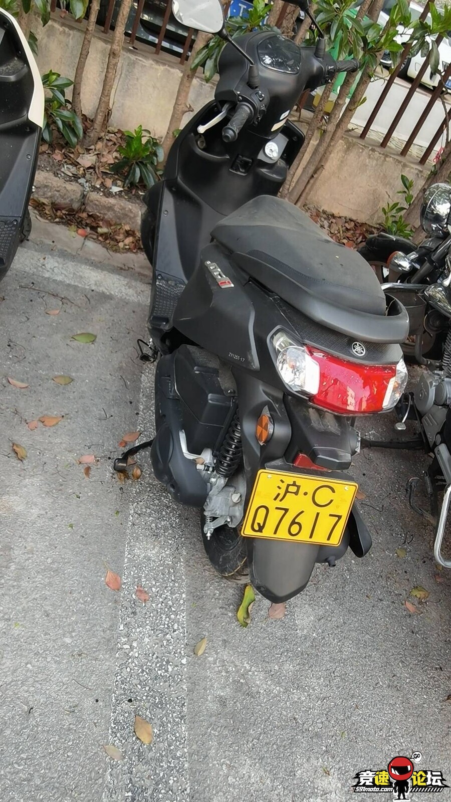 1746457265287463_900.jpg