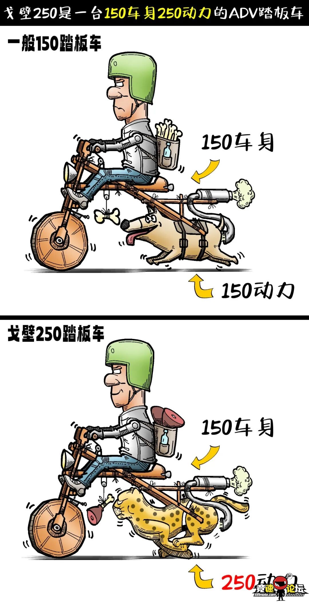 153700e517751dzm995p7d.jpeg