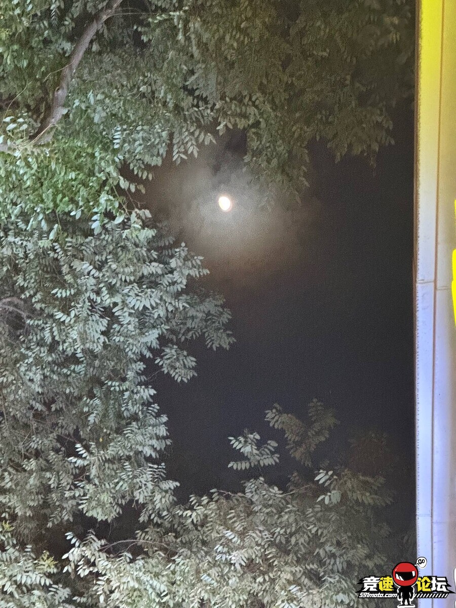174922851716119782.jpg