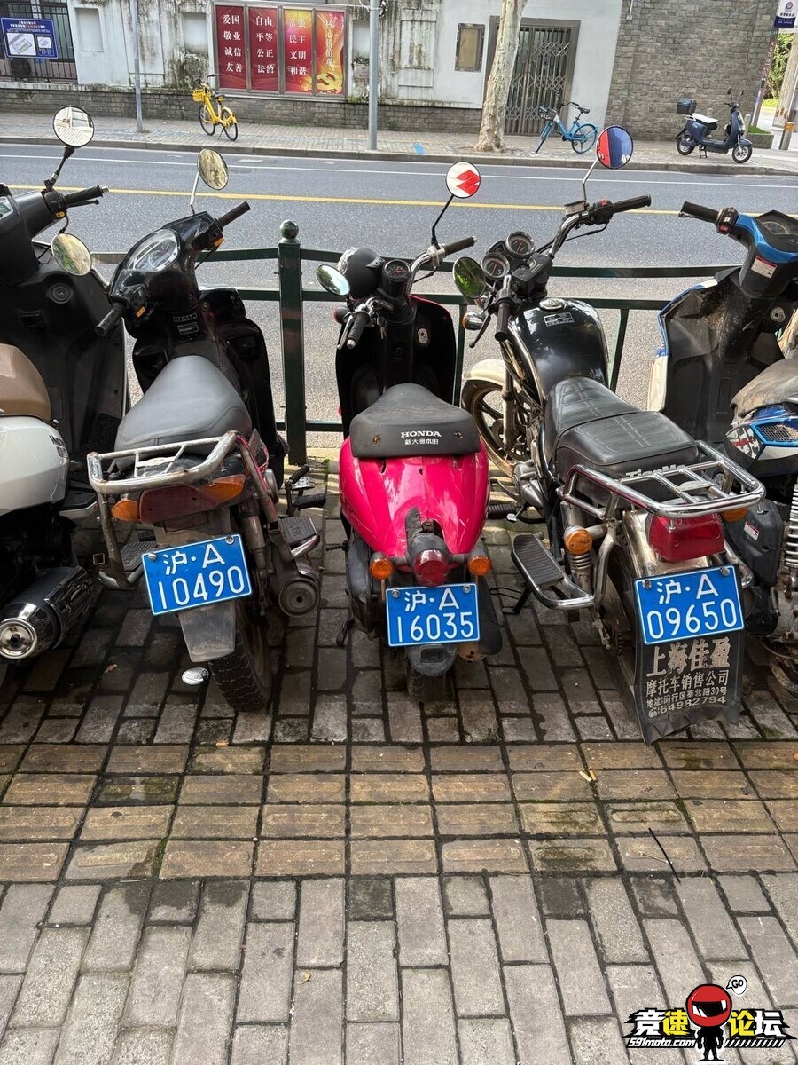17501293620648787.jpg