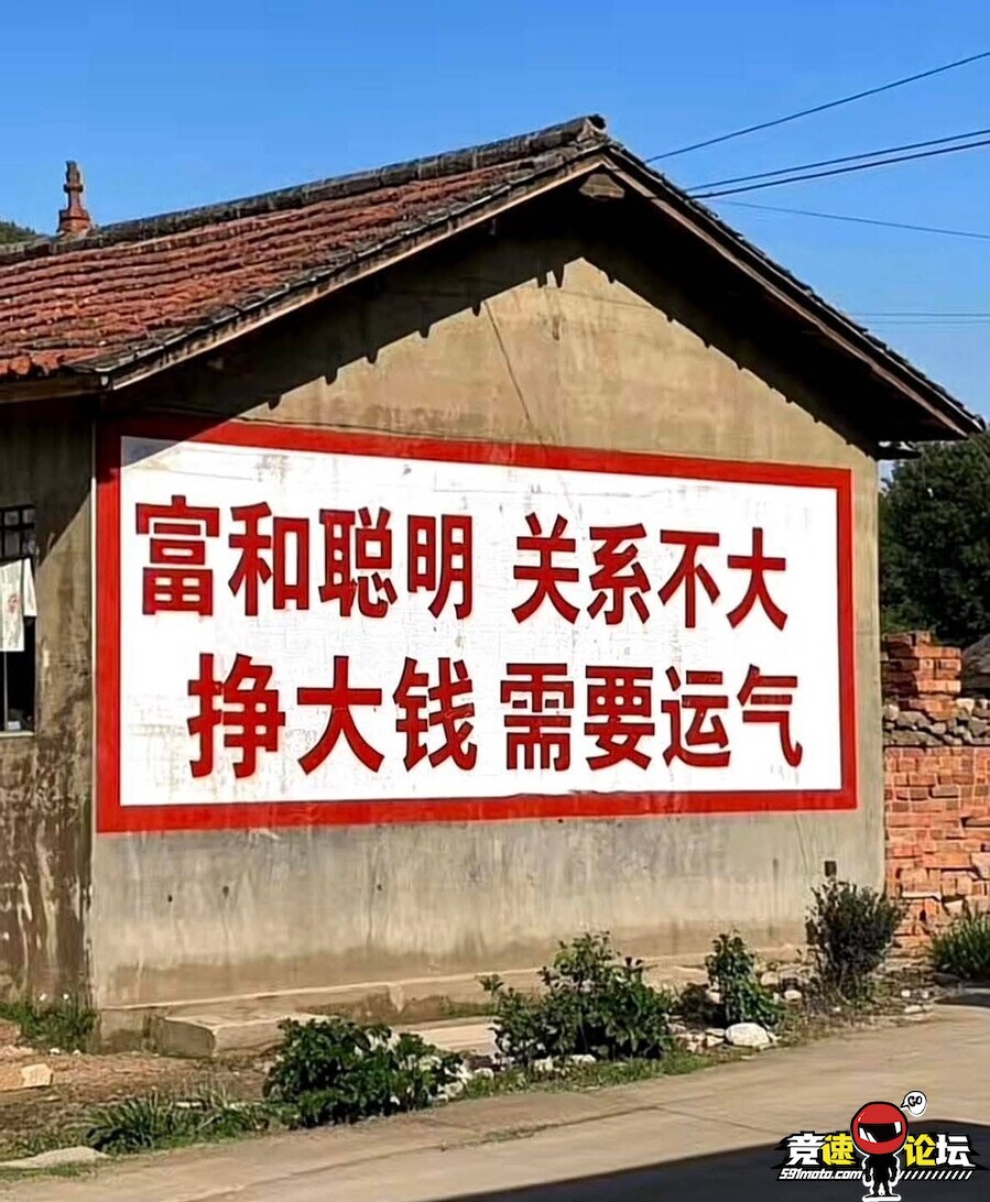 175064335073635_252.jpg