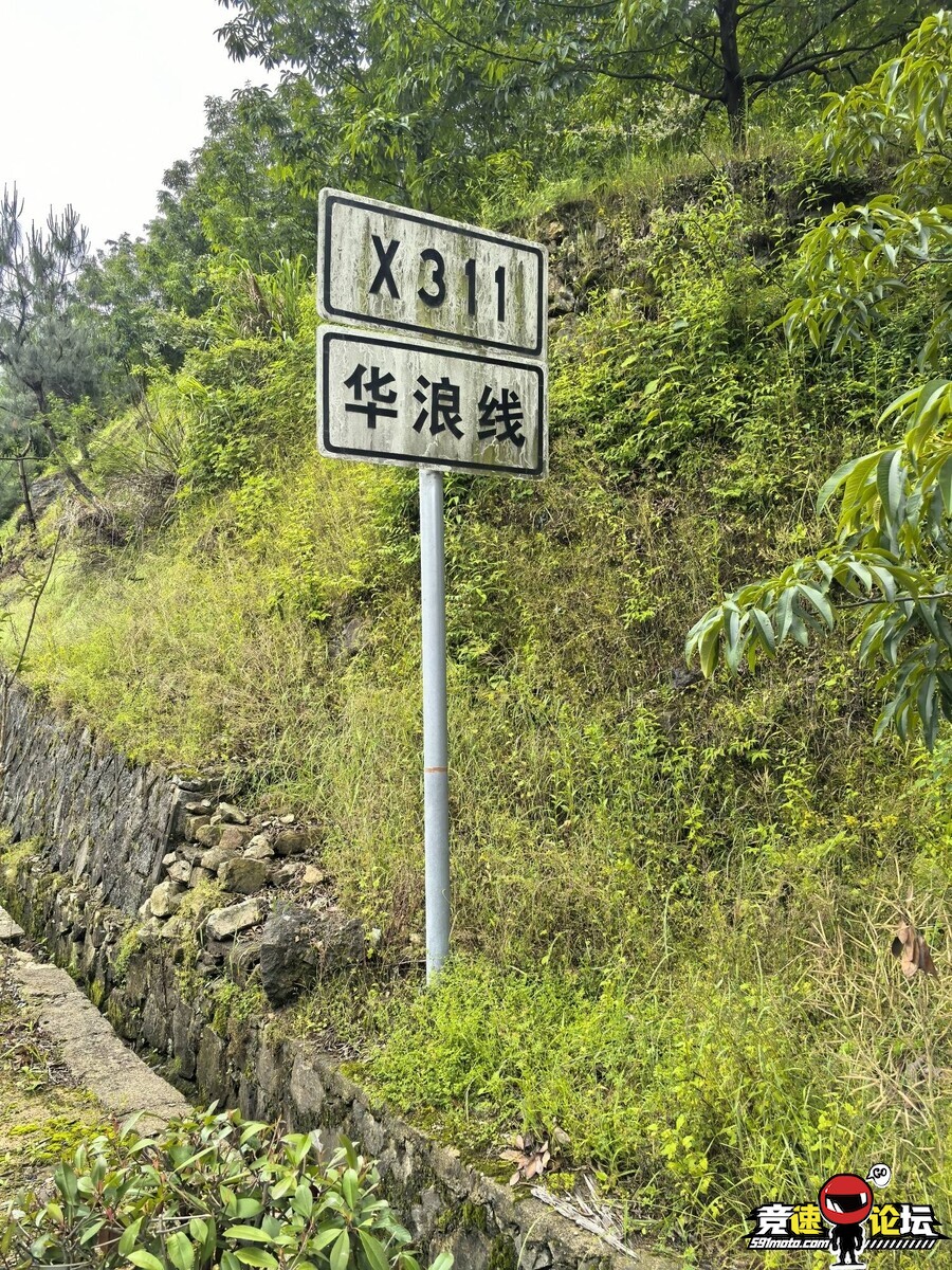 175068852287982_486.jpg
