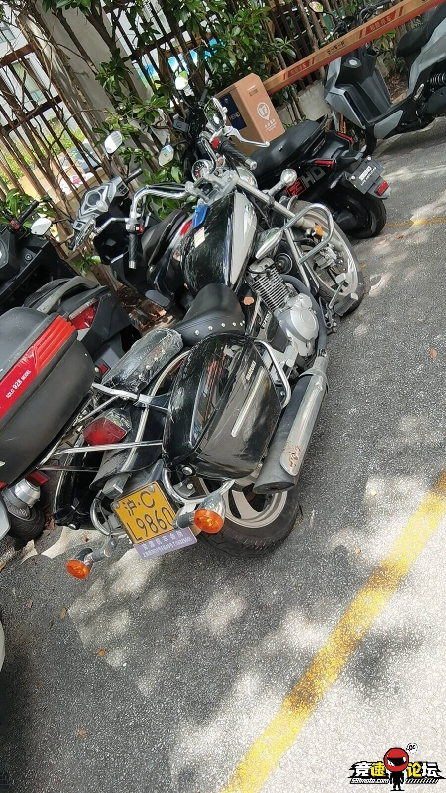 1754522231440201_659.jpg