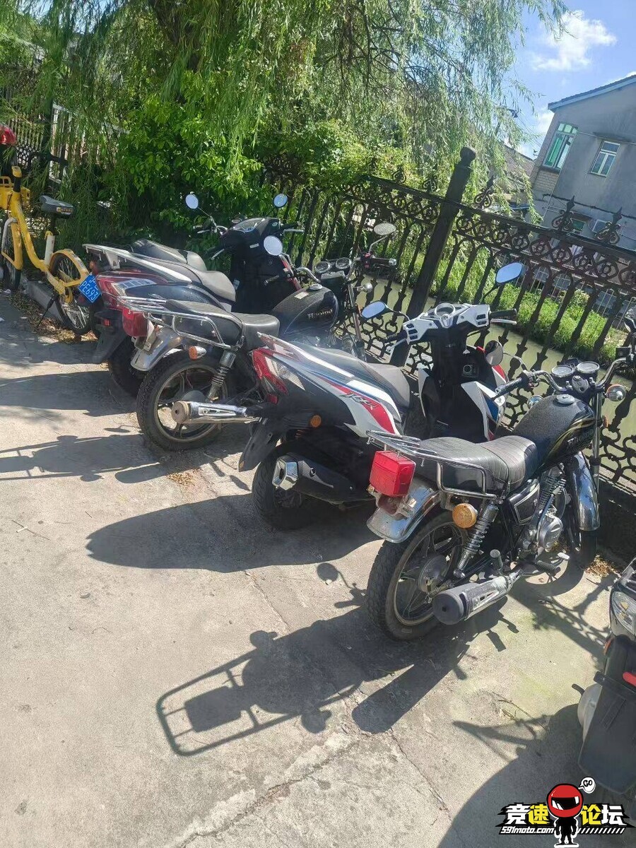 175550172906571_872.jpg