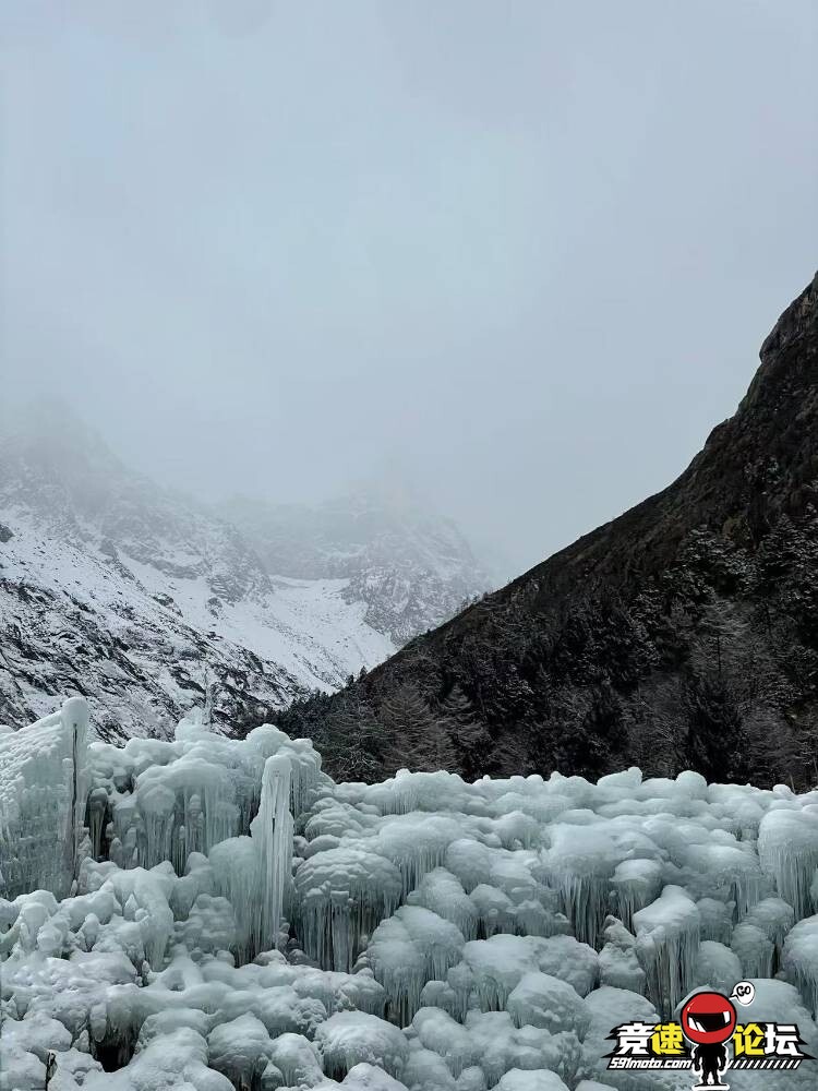 ͦ�����﹵