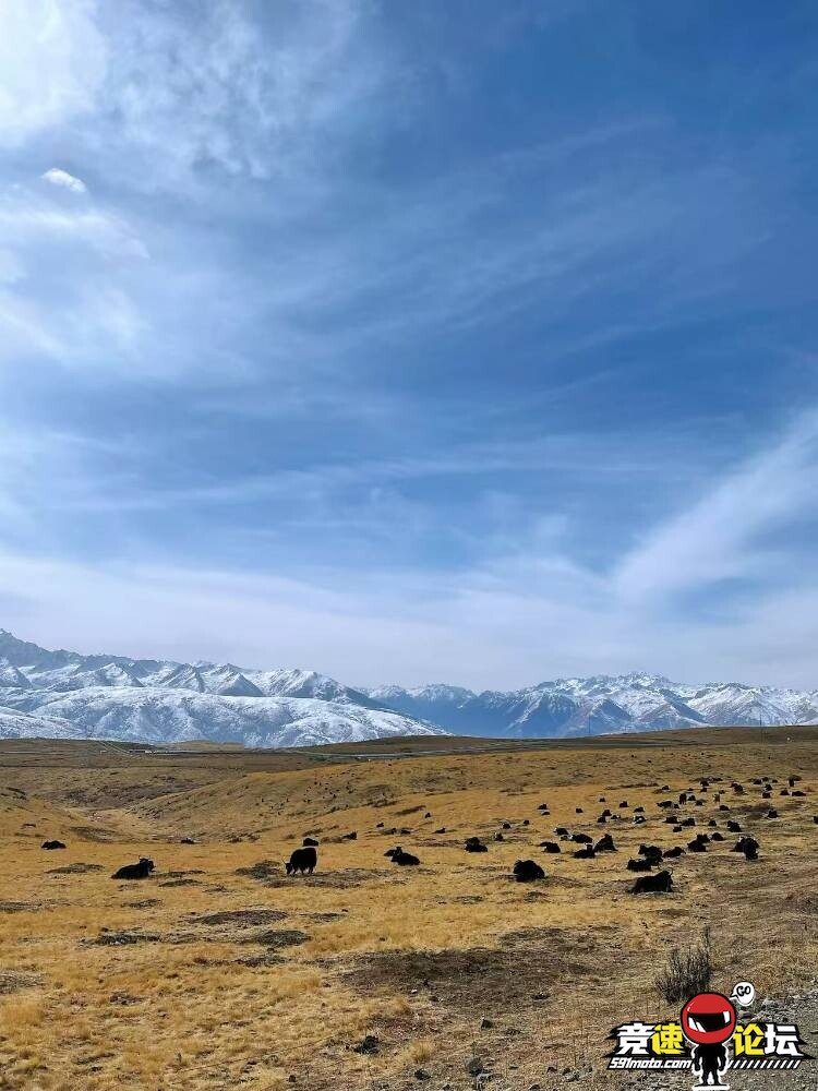 ��Խ������