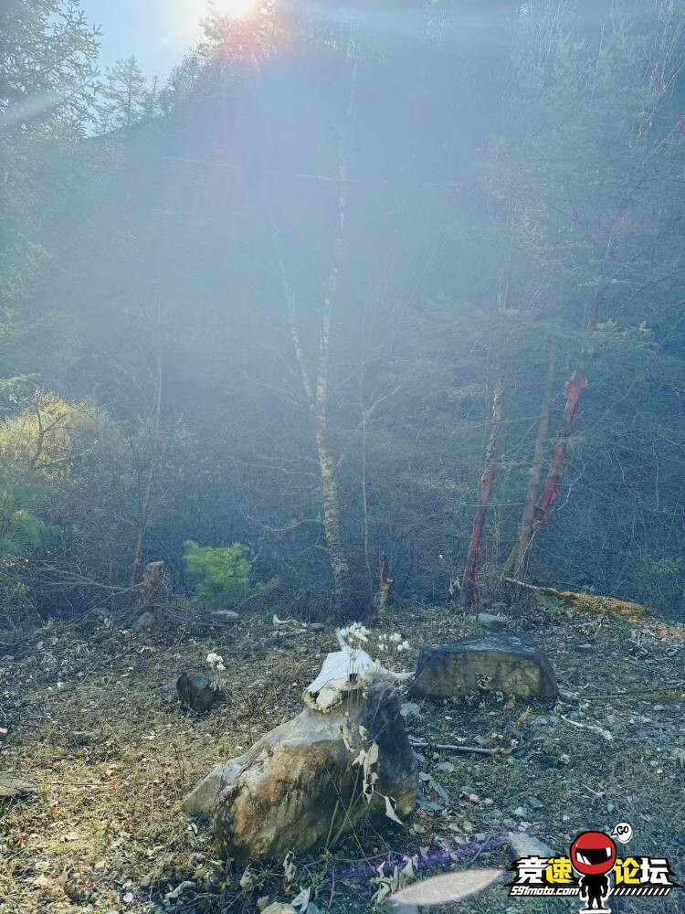 ɺ����С��