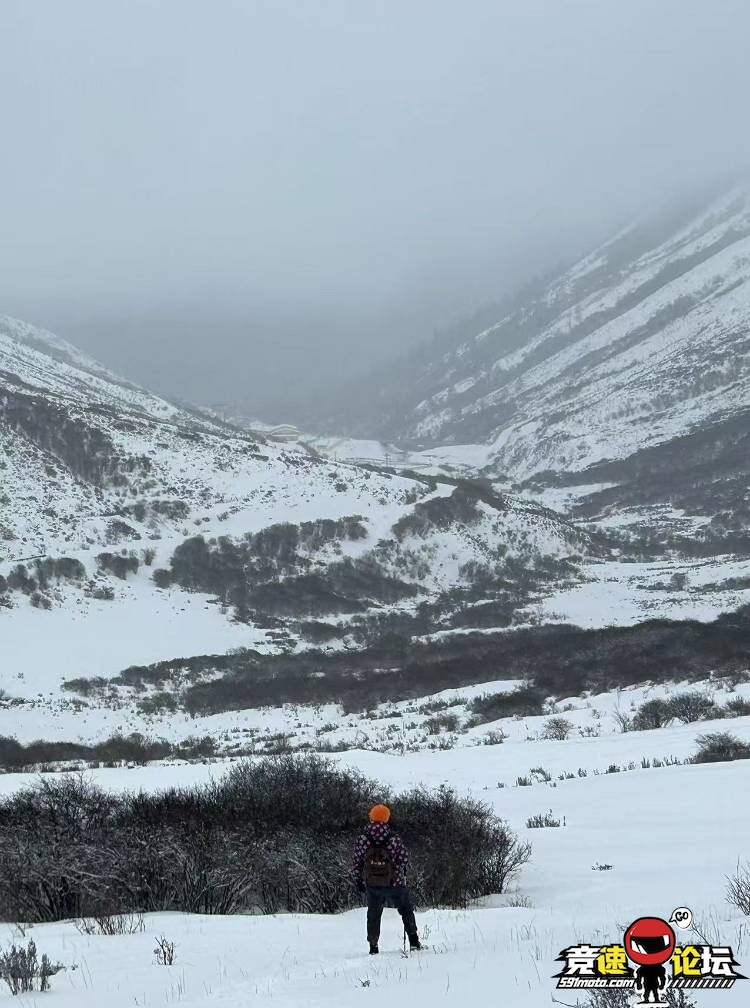 �����ſ���ѩɽ