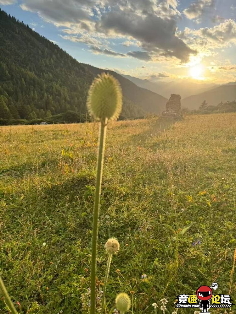 �ص�ֲ���ͷ����