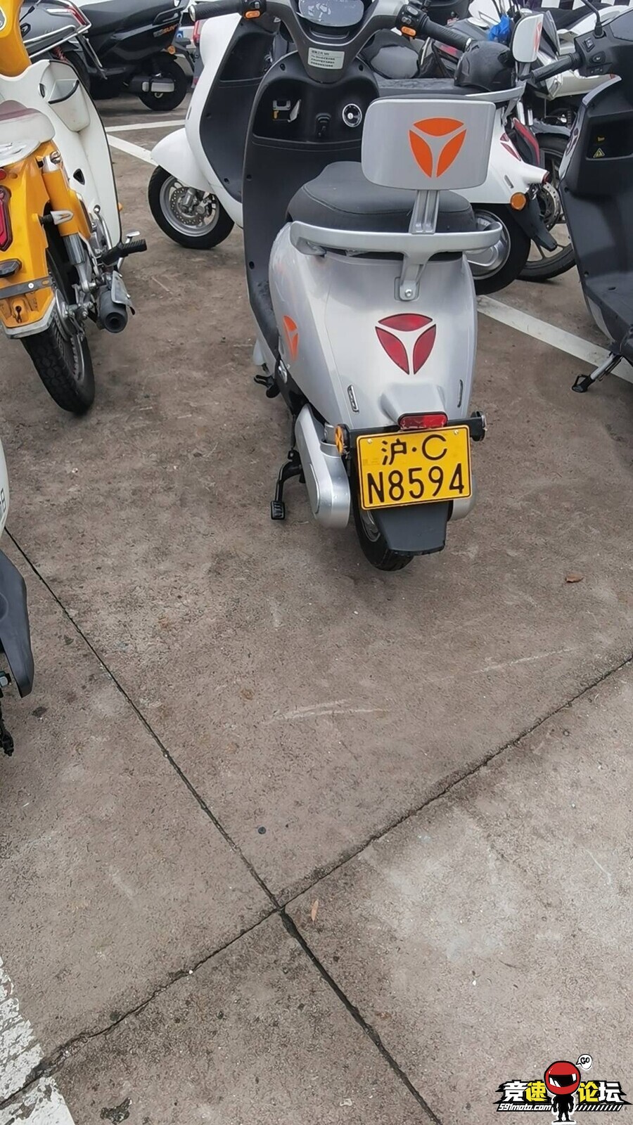 176071490724120_655.jpg