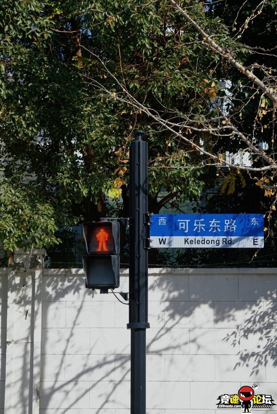 1765261201265171_531.jpg