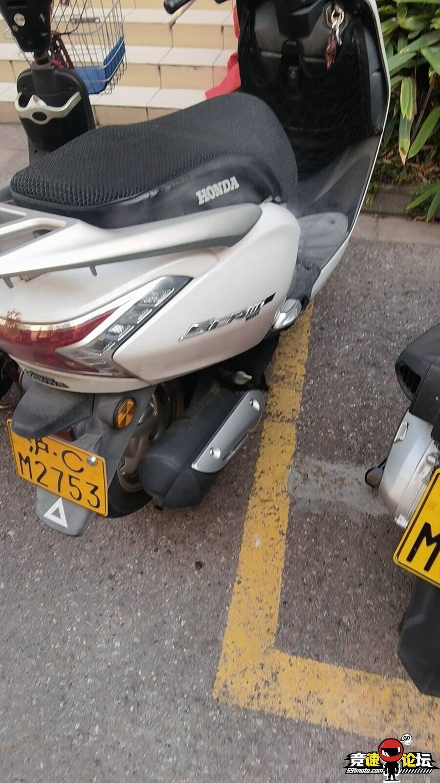 177393306952795_885.jpg