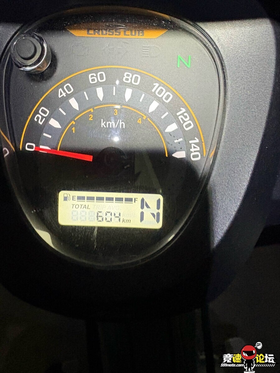 1774753026560265362.jpg