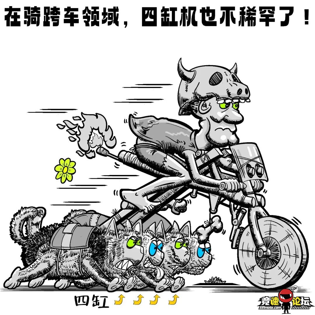 151840ogzxqgg5szeo60au.jpeg