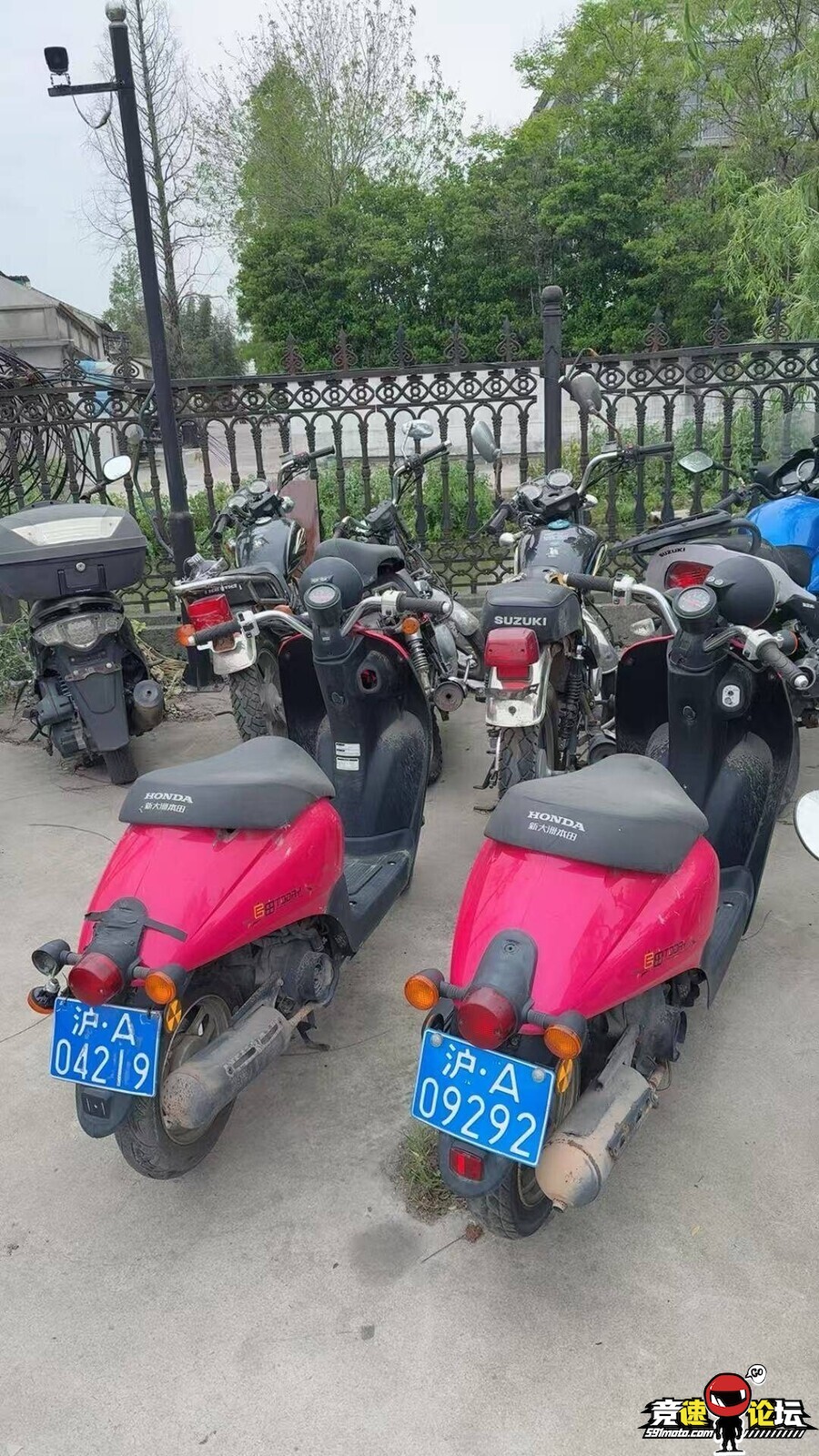 1785850908950840_426.jpg