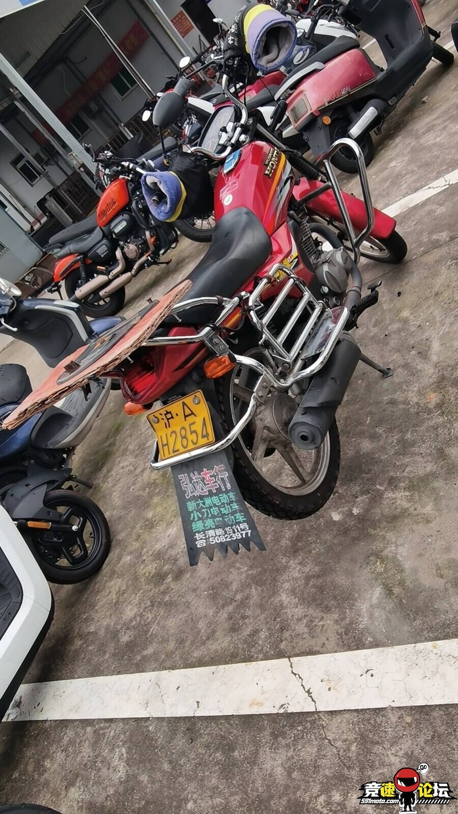 1786370197632780_796.jpg