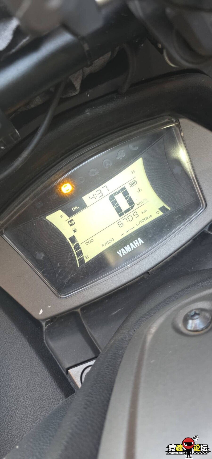 1789609548669419_911.jpg