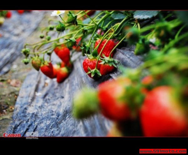 nEO_IMG_DSC_4982.jpg